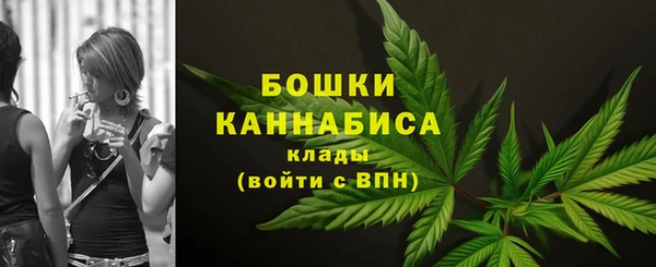 ешки Бородино