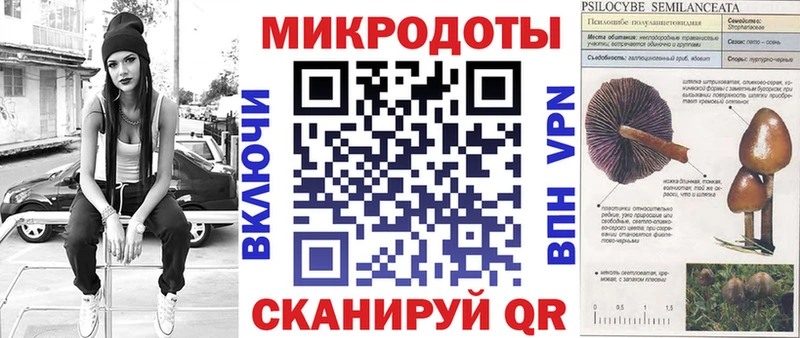 Купить закладки  Чаплыгин  Галлюциногенные грибы Cubensis 